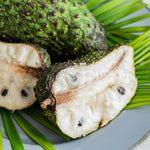 Soursop Plant Live, Guanabana Soursop Tree Live Plant, 6-10 Inches Tall in Pot, Tropical Fruit Plant