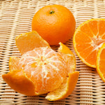 Satsuma Mandarin Tree Live Plant, Sweet Tangerine Citrus Tree in 1 Gallon Pot, Suitable for Patio or Outdoor Garden Growing