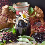 2 Black Elderberry Trees Live Plants, Backyard Berry Plant, 10-12 Inch Tall