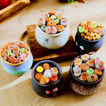 Multicolor Lithops Live Plants, Set 20 Lithops Succulents Plants Live, Mix Lithops Living Stones Rocks, Assorted Lithops Seedlings for Growing