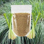 400 Lemongrass Herb Seeds, Lemongrass Seeds, Culinary Herb Seeds for Home Garden, Patio Pots and Containers