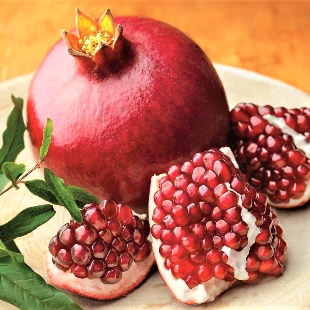 Starter Red Pomegranate Tree Live Plant, Cold Hardy Red Pomegranate 5-9" for Home Garden, Edible Fruit Trees, 5 Months Old