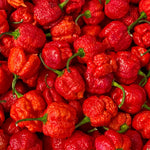 Set 2 Pepper Plants Live for Planting, Hot Chili Pepper Plant, 4-6 Inc Tall, Live Vegetable Plants for Indoor Outdoor Growing