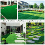 5000 Emerald Zoysia Grass Seeds, Zoysia Grass Seeds for Lawn, Dense Green Grass for Backyard and Patio