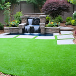 Zoysia Grass Seeds, 60000 Seed Count, Zoysia Seeds Lawngrass Seeds, Grow Outdoor