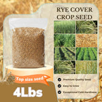 4 Lbs Rye Grass Seeds for Lawn, Rye Cover Crop Seeds for Outdoor Planting, Fast-Growing Grass Seed