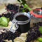 2 Black Elderberry Plants Live for Planting, 6 to 12 Inch Tall, American Elderberries Bush, Sweet Fruit Tree