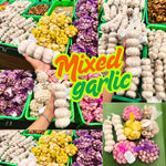 1 Pound Garlic for Planting in Spring, Mix Random, 5-6 Assorted Garlic Bulbs for Planting, Fresh and High Yield Bulb Variety Pack, Hardy and Fast Growing Softneck Hardneck