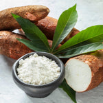 Yuca Cassava Plant Live, 4” Potted Sweet Manihot with Thick Trunk, Outdoor Planting,Yuca Cassava Tree, No CA