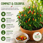 Set 2 Pepper Plants Live for Planting, Pepper Plant, 4-6 Inc Tall, Live Vegetable Plants for Indoor Outdoor Growing (Small Upright Hot Peppers)