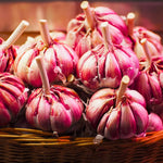 1 Pound Garlic for Planting in Spring Hardneck, 5-6 Red Garlic Bulbs for Planting, Fresh and High Yield Bulb Variety Pack, Hardy and Fast Growing