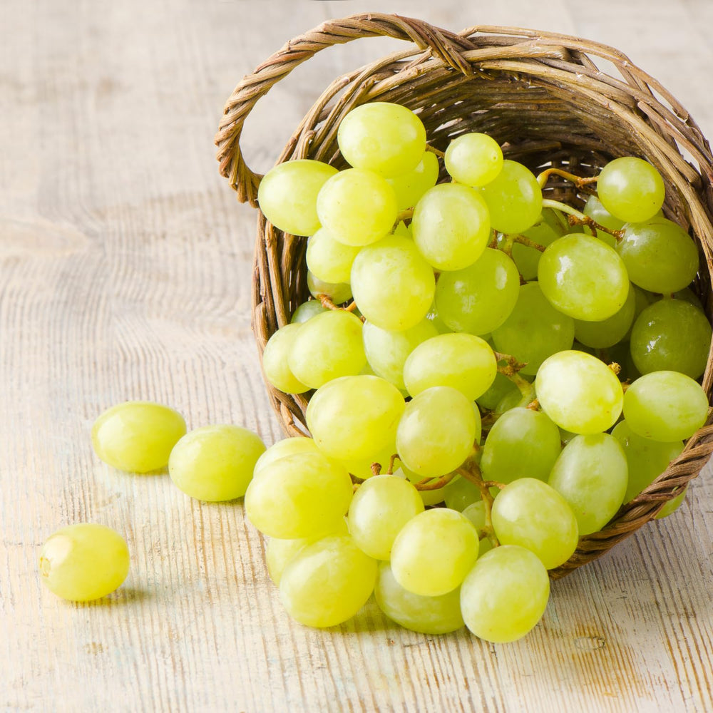 2 Rare Grape Vines Live Plants, Sweet Starter Grapevine from 5 to 8 Inches in Tall, Easy to Grow Indoor Outdoor, No Pot (Green Yellow)
