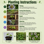 Incarnata Passion Flower Plant, Maypop Incarnata Passiflora 4–7", Well Rooted Flowering Vine for Outdoor Garden