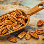 4 Hardy Pecan Tree Live Plant Bare Roots, 12 to 20 Inc Tall, Pecan Live Plant Bare Root Gardening