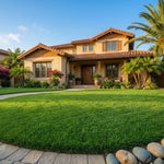 Set of 20000 Zoysia Grass Seeds, Zoysia Grass Seeds for Lawn, Low Maintenance Lawns in Home Yards and Garden