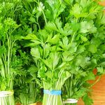4 Parsley Plants Live for Planting, 4 to 7 Inc Tall, Parsley Vegetable Plant for Growing Indoor Outdoor