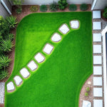 40000 Zoysia Grass Seeds, Lawngrass Seeds Zoysia Seeds, Low-Maintenance for Home Yards and Gardens