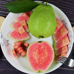 Pink Guava Tree Live Plant, Guava Plant Live for Planting Outdoor, Fruit Tree Plant from 5 Inc Long