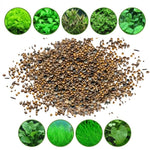 300 Aquarium Water Grass Seeds - Water Grass Ground Covering Seeds Plants for Landscaping and Aquarium Decoration