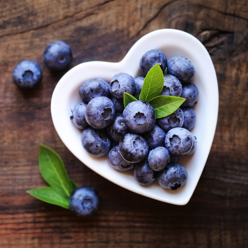 Sunshine Blueberry Plant