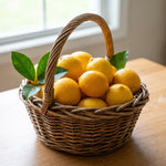 Meyer Lemon Tree 1-2 Ft Tall, Air Layered Citrus Tree in Gallon Pot for Indoor and Outdoor Fruit Growing, Fruit Bearing Trees