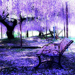 Wisteria Live Plant in 2.5" Pot, 6-12 Inch Tall Fragrant Wisteria Vine for Garden Trellis and Containers, Indoor Outdoor (Purple Wisteria)