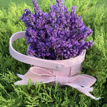 Pack 2 Lavender Live Plants 4-8 Inches, Hardy Fragrant Perennial Outdoor Herb Plant (Provence Lavender)