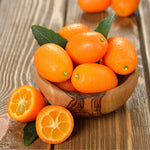 Kumquat Tree Plant in 1 Gallon Pot, 2-3 Ft Tall Citrus Fruit Tree, Sweet Kumquat Fruits - Outdoor Patio Container Plant