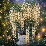 White Clerodendrum Wallichii Live Plant, Starter 4–7" Tall, Chains of Glory Light Bulbs Shrub Flowering Garden Plants for Patio, Containers and Backyard Landscaping