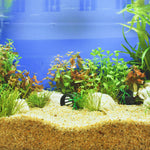 200 Aquarium Grass Plant Seeds for Planting, Mix Aquarium Seeds, Ground Cover Freshwwater Grass Seed