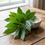 2 Bay Leaf Trees Live, Sweet Bay Laurel for Planting 4-7'' Tall, Live Fragrant Herb Plant for Indoor and Outdoor