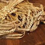 3 Lb Rye Cover Crop Seeds for Planting Lawn, Cover Crop Seeds, Garden Grass Seed, Easy to Plant