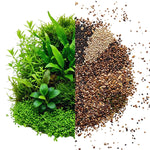 Set 300 Aquarium Grass Plant Seeds for Planting, Mix Aquarium Seeds, Ground Cover Freshwwater Grass Aquatic Seed Planting