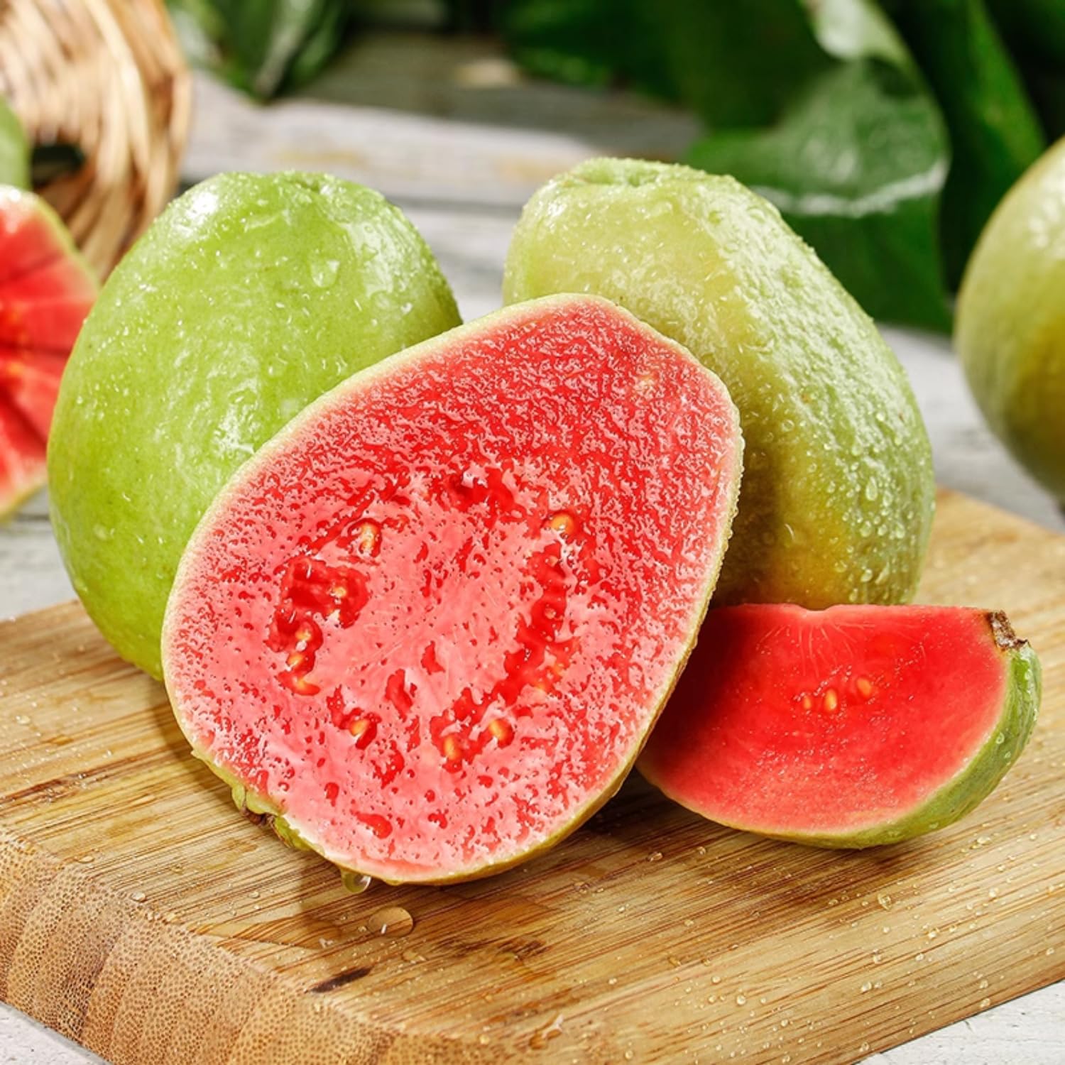 Pink Guava Tree Live Plant, Guava Plant Live for Planting Outdoor, Fruit Tree Plant from 5 Inc Long