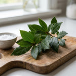 Bay Leaf Tree Live 4-7 Inches Tall, Laurus Nobilis, Fragrant Herb Plant for Garden, Patio Containers and Indoor Decor