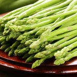 25 Mary Washington Asparagus Crowns - 2 Year Asparagus Roots