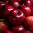 Red Delicious Apple Tree Live Plant - 3 to 4 Feet Tall - Red Apple Tree