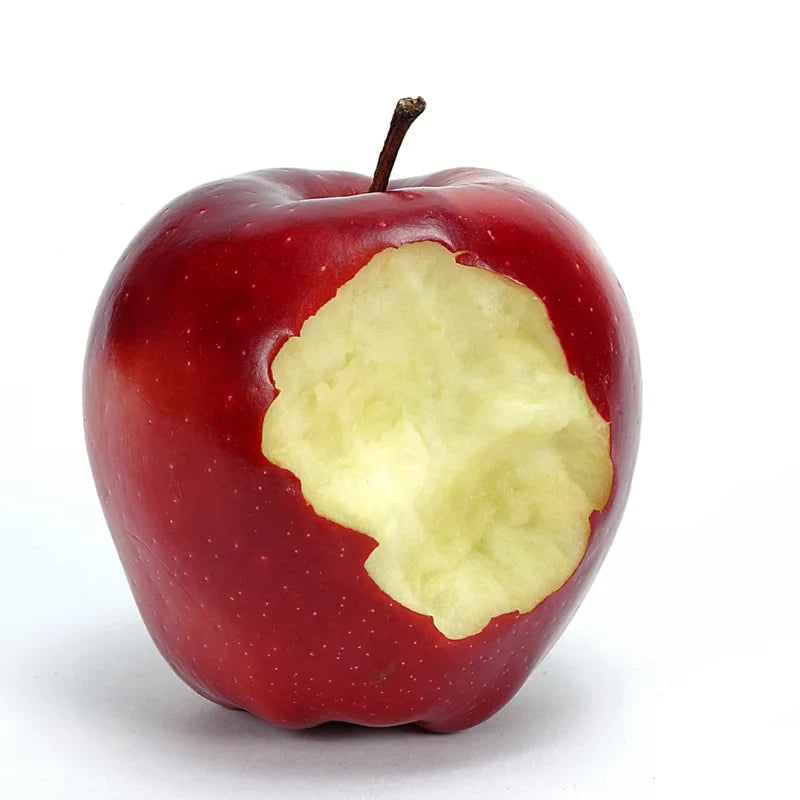 Red Delicious Apple Tree Live Plant - 3 to 4 Feet Tall - Red Apple Tree