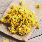 Chrysanthemum Plants Live Tree Well Rooted, 4 To 6 Inches Tall, Mums Plants Live, 2 Plants For The Patio And Garden (Yellow)