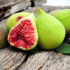 Desert King Fig Tree Plant - 10 to 12 Inches Tall