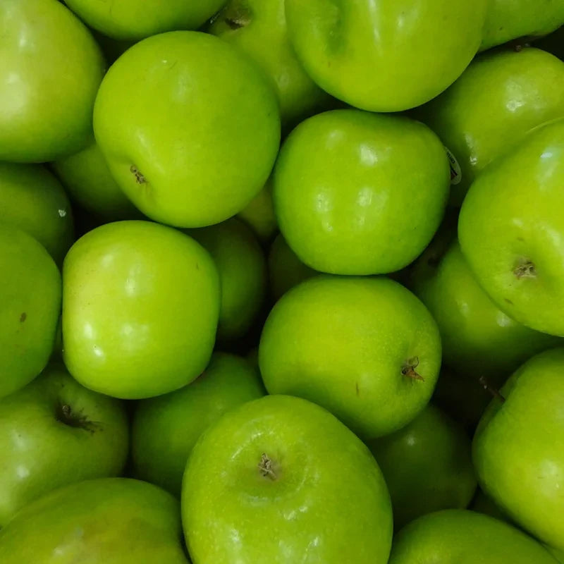 Granny Smith Apple Tree Plant - 2 to 3 Feet Tall - Green Apples