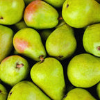 Green Pear Tree Live Plant - Bare Root Pear Fruit Tree - 12-18 Inches - Garden Ready