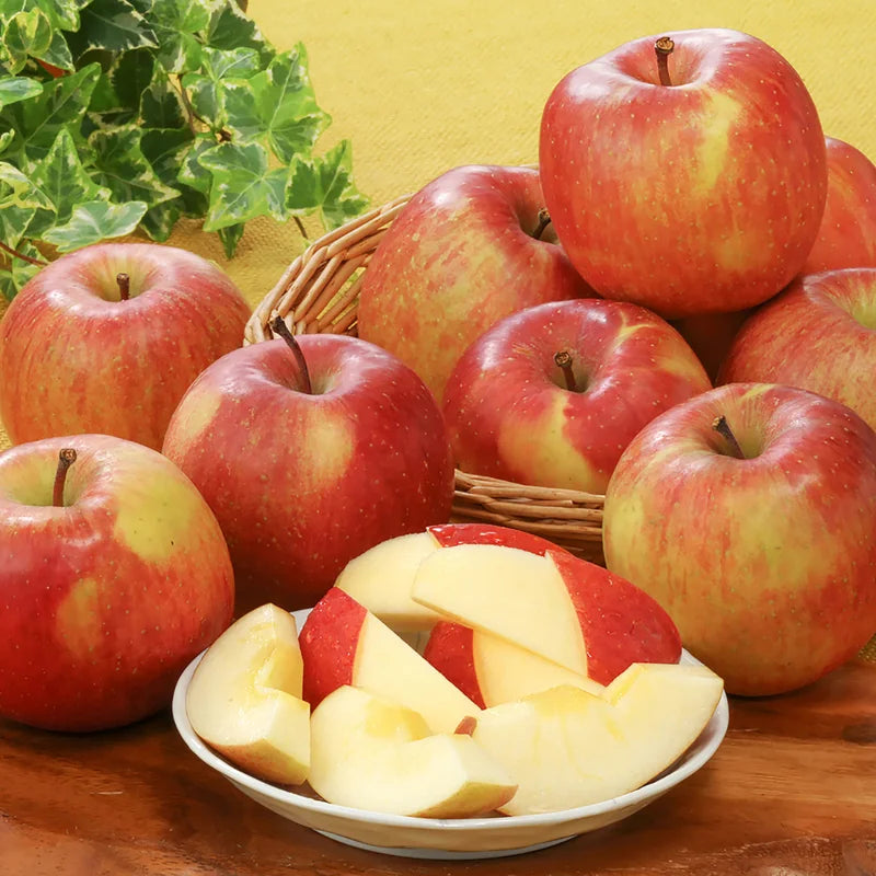 Honeycrisp Apple Tree Live Plant - 2 to 3 Feet - Red Apple Fruit Tree