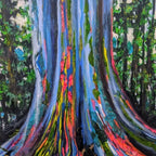 Large Rainbow Eucalyptus Tree Live Plant in Pot - 4 to 6 Feet Tall, Colorful Bark, Ideal for Outdoor Gardens and Landscapes
