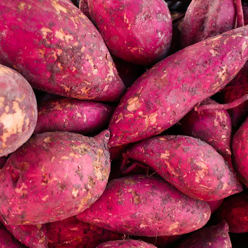 Mix Potato Slips Set of 20 Assorted Varieties for Planting