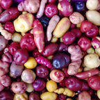Mixed Potato Cuttings Slips Pack - Assorted Varieties - 15 Count Seed Potatoes