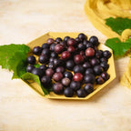 Muscadine Grape Vines - Sweet Fruit Vine for Outdoor Growing - 5-6 Inch Plant