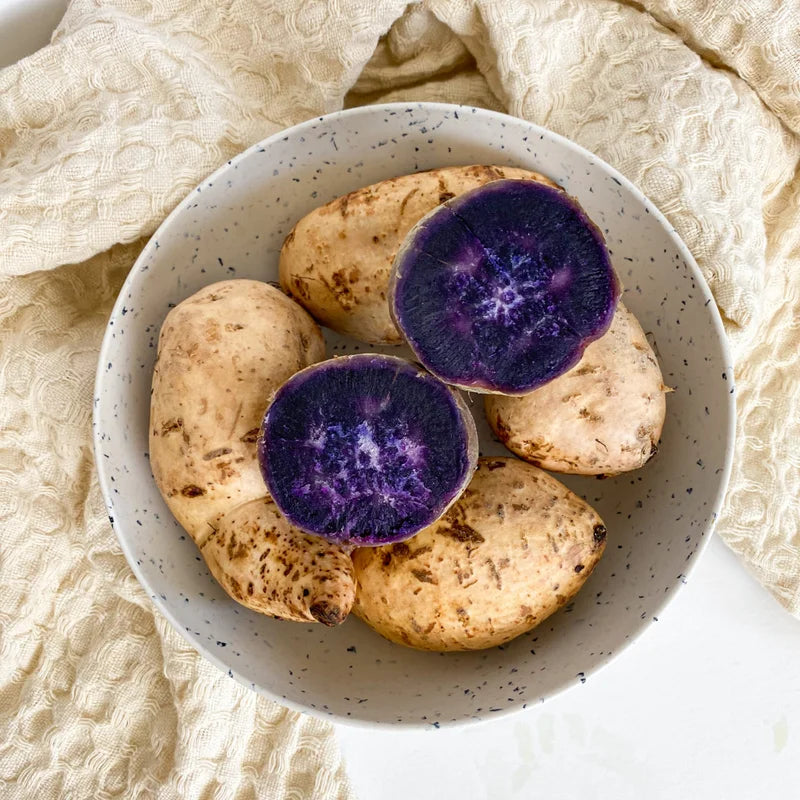 Okinawa Purple Sweet Potato Slips - 10 Healthy Starter Plants for Your Garden