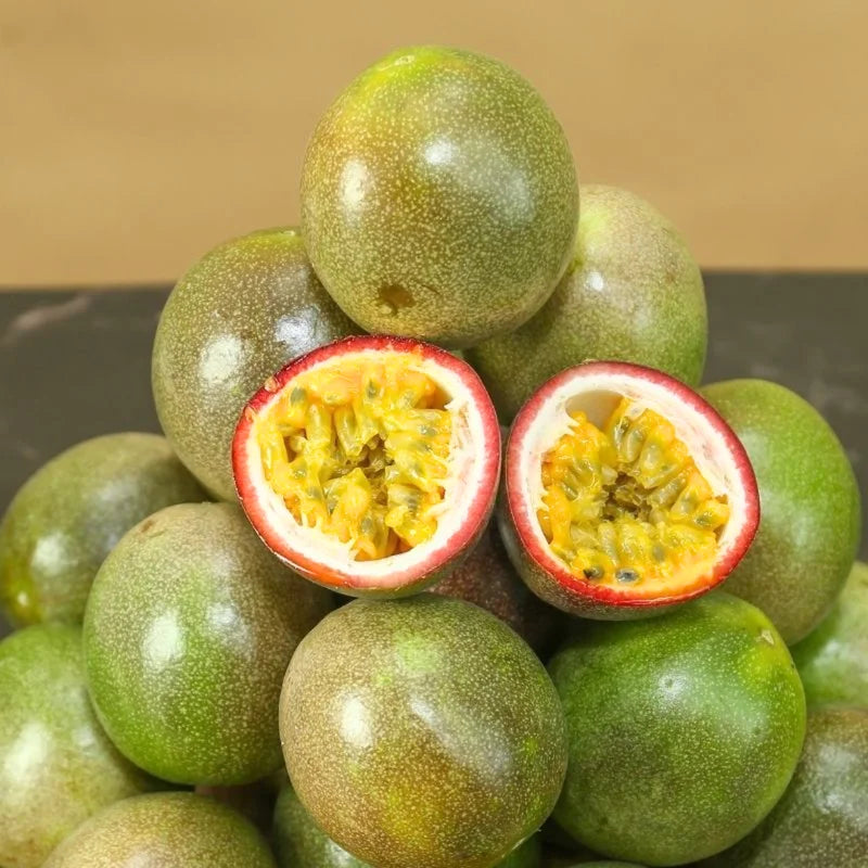 Passion Fruit Plant, 4 to 8 Inch Tall, Well Rooted, Passion Fruit Tree, Passion Fruit Tree Live Plant, Passionfruit Tree - Purple