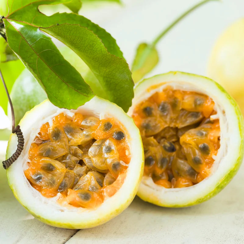 Passion Fruit Plant,  4 to 8 Inch Tall, Well Rooted, Passion Fruit Tree, Passion Fruit Tree Live Plant, Passionfruit Tree - Yellow